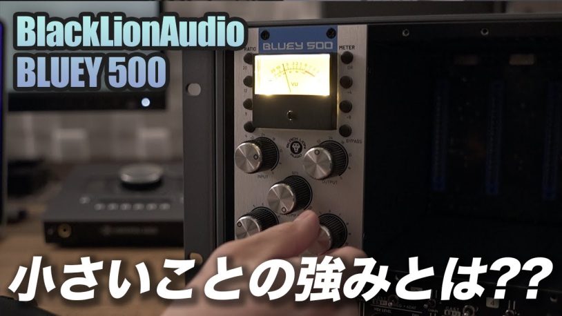 Black Lion Audio BLUEY 500レビュー｜グラミー受賞エンジニアの秘密兵器！