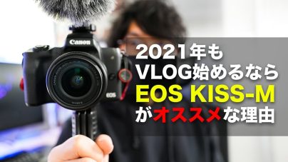 CANON EOS Kiss Mは画質が悪い？望遠レンズやダブルキットレンズ、ISO感度について解説の画像
